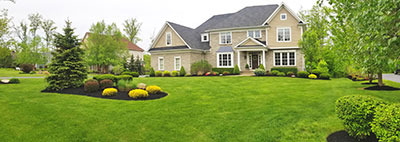 Landscape Design Install