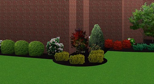 Landscape Renovation