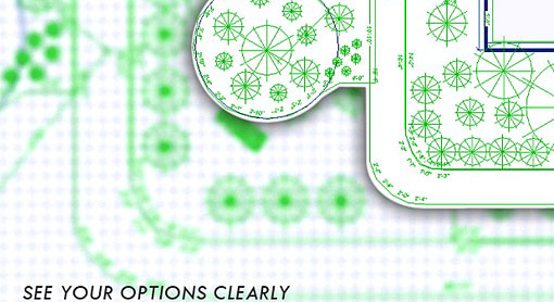 Y Plan Options
