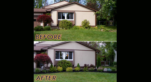 Before and After 1