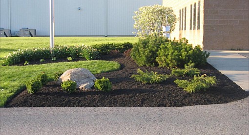 Office Mulch