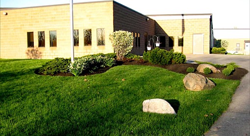 Office Mulch 2