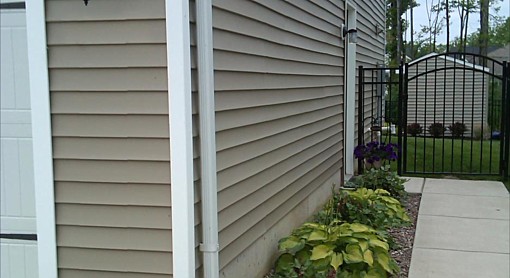 Shade Perennials