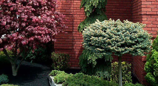Trim Clean Mulch 1