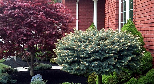 Trim Clean Mulch 3