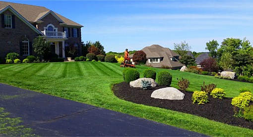Lawn Mowing 1