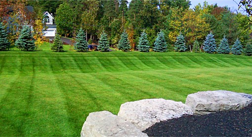 Lawn Mowing 2