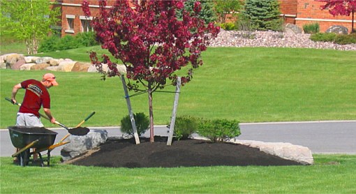 Mulching