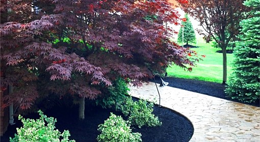 Spring Mulch