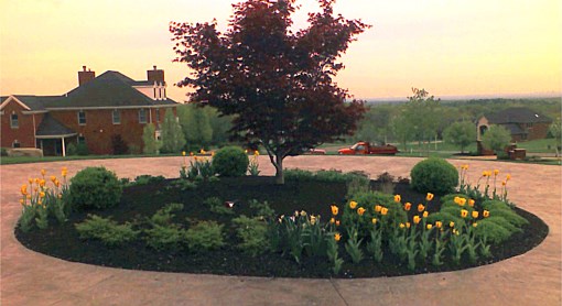 Spring Sunset