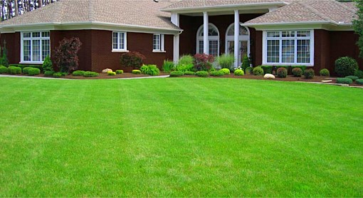 Trim_and_Mulch