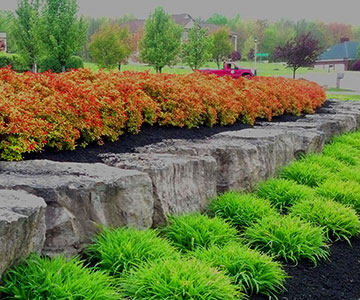 Plantings