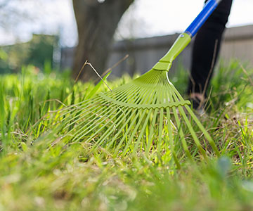 Spring Cleanup
